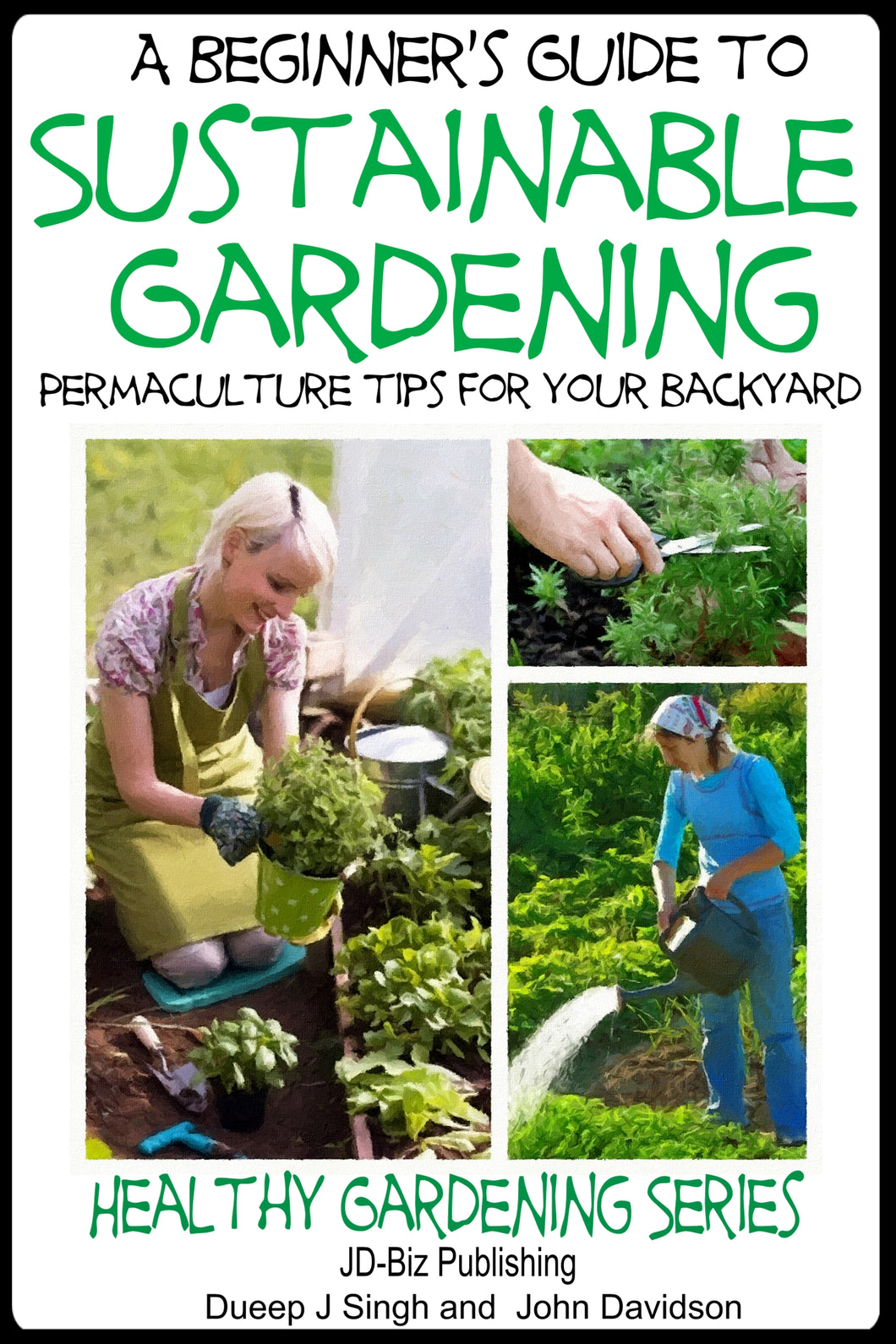 A Beginner’s Guide to Sustainable Gardening