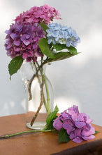 Load image into Gallery viewer, Beauty Ornamental