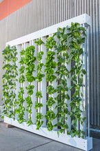 Load image into Gallery viewer, Introduction to Hydroponics - Growing Your Plants Without Any Soil