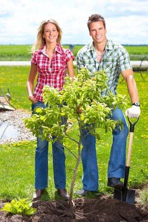 Systematic Plant Growing Proper Methods for Growing Plants