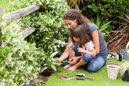 Gardening for Therapy Tips and Tricks for Relaxation through Gardening