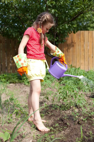 The Magic of a Kitchen Garden Organic Gardening for Beginners