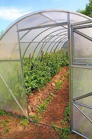 Plant Growing Structures Knowing More about Green Houses, Hotbeds, and Cold Frames