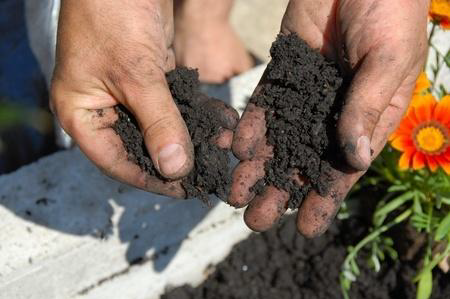Soil Types and Soil Preparation for Your Land How to Get The Best Out Of Your Land