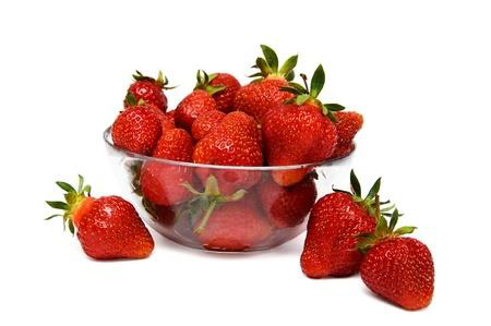 Introduction to Strawberries Growing Strawberries for Pleasure and Profit