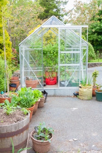 Glass in Your Vegetable Garden