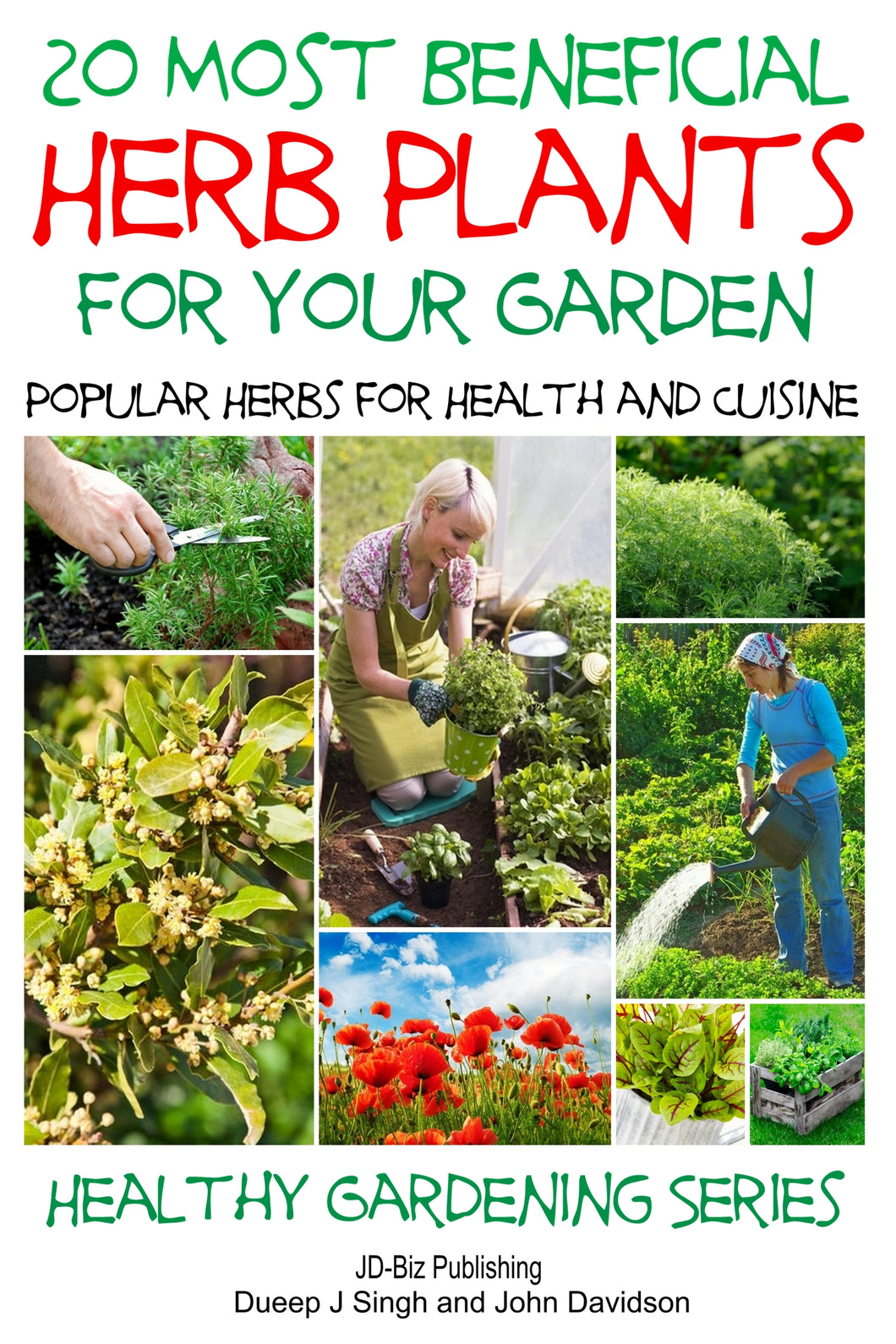 20 Most Beneficial Herb Plants For Your Garden
