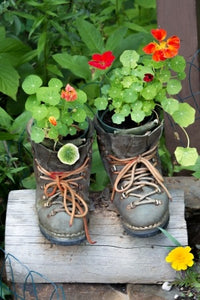 Pot it There - Container Gardening Even YOU Can Do