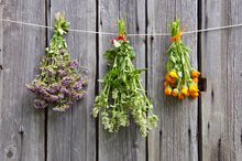 Load image into Gallery viewer, A Beginner&#39;s Guide to Herb Gardens - Herb Gardening in Your Home.