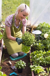 A Beginner’s Guide to Herb Gardening