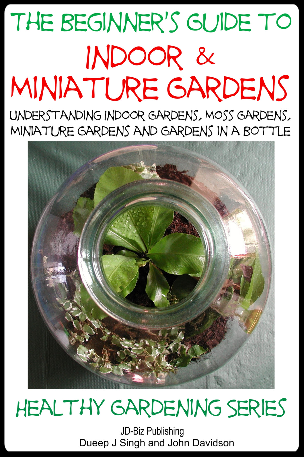 The Beginner’s Guide to Indoor and Miniature Gardens