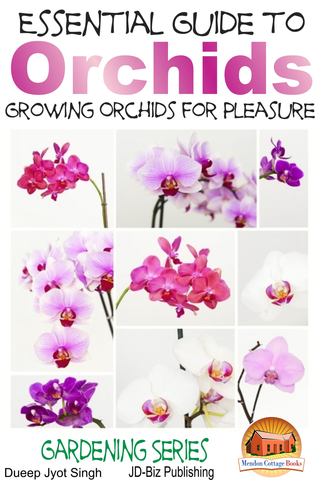Essential Guide to Orchids