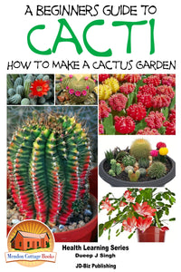 A Beginner’s Guide to Cacti