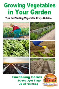 Growing Vegetables in Your Garden