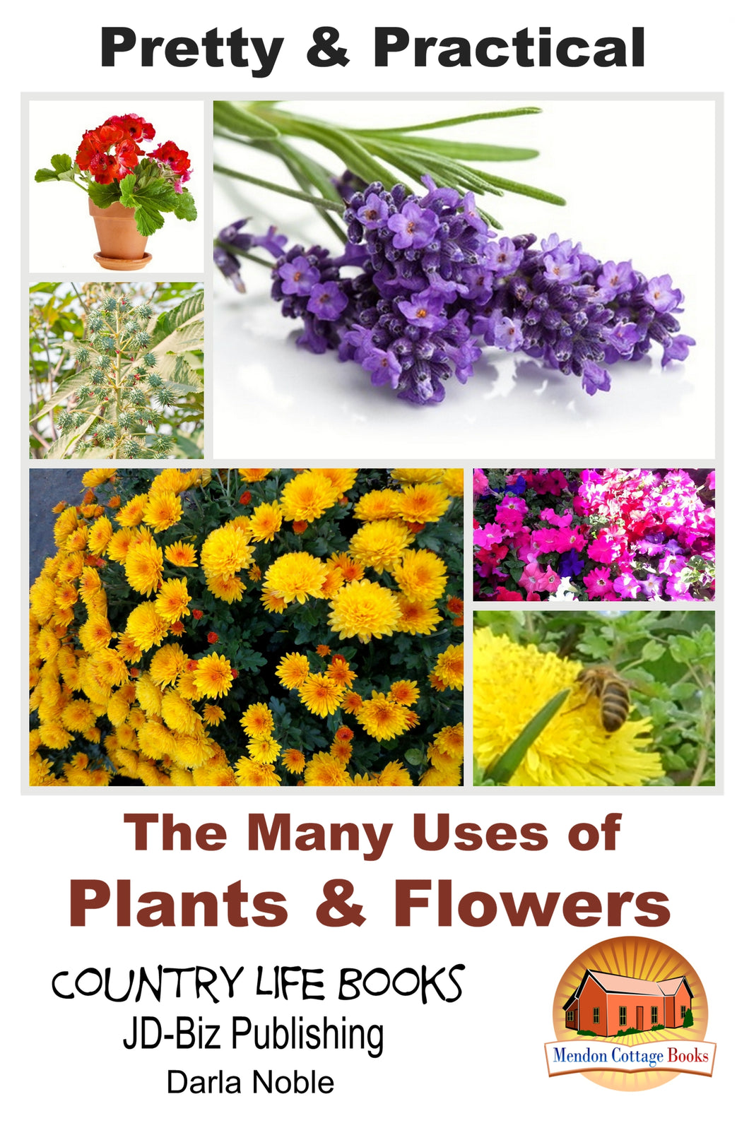 Pretty & Practical - The Many Uses of Plants & Flowers